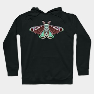 Moth sticker brown, green and pink pastel Hoodie